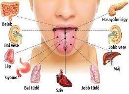 nyelvünkre írt betegségek